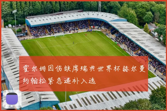 霍尔姆因伤缺席瑞典世界杯赫尔曼约翰松紧急递补入选